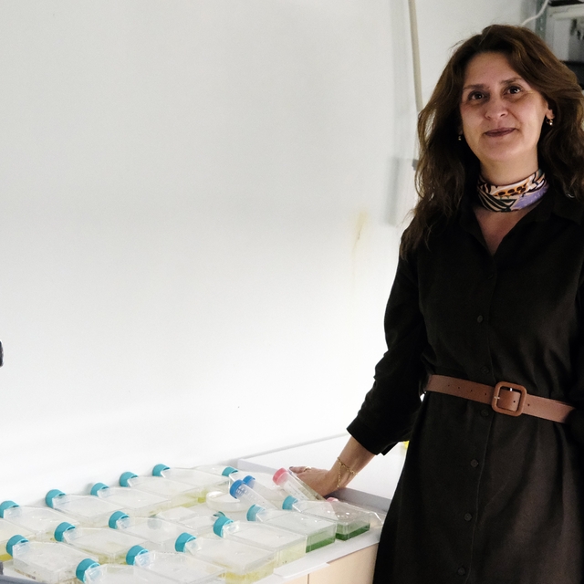 BŞEÜ akademik alanda önemli bir başarıya imza attı