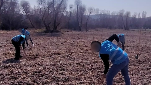 Denetimli serbestlik yükümlüleri 'Adalet Ormanı'nda meyve yetiştiriyor
Ferah Bahçe Adalet Ormanı'nda ilkbahar bakımı ve fidan mesaisi