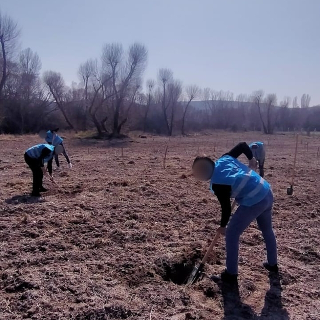 Denetimli serbestlik yükümlüleri 'Adalet Ormanı'nda meyve yetiştiriyor
Fera...