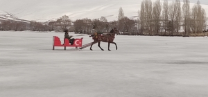 Çıldır Gölü'nde atlı kızak sezonu sona eriyor