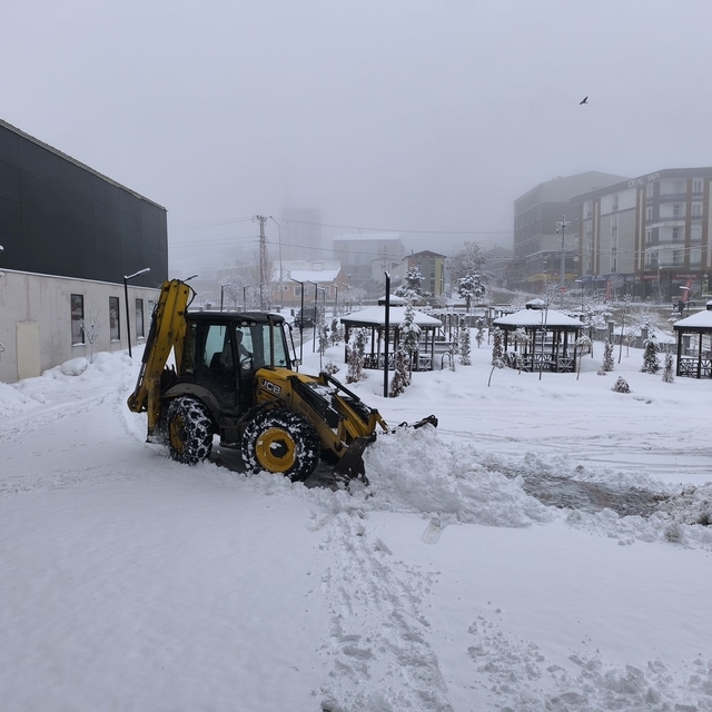 Van'da mart ayının sonunda kar yağışı (2)