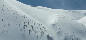 Artvin'de çığ faciası: Kayıp kişi için çalışmalar 86 gündür sürüyor