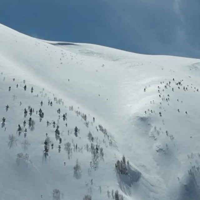 Artvin'de çığ faciası: Kayıp kişi için çalışmalar 86 gündür sürüyor