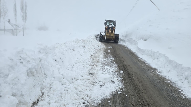 Hakkari'de 61 yerleşim yerinin yolu kapandı
