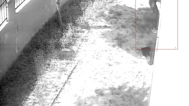 Apartman dairesine tırmanıp girdi, dizüstü bilgisayar çaldı