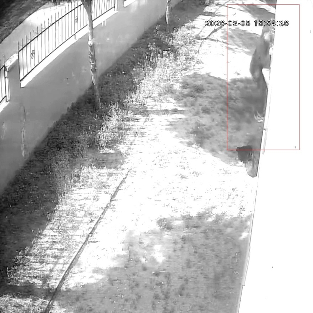 Apartman dairesine tırmanıp girdi, dizüstü bilgisayar çaldı