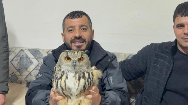 Kars'ta yaralı puhuya şefkat eli