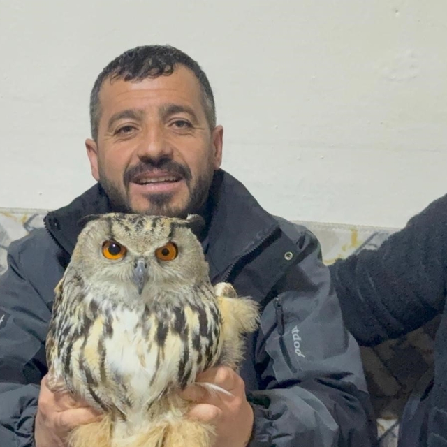 Kars'ta yaralı puhuya şefkat eli