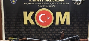 Tunceli’de ruhsatsız silah operasyonu: 6 şüpheli yakalandı