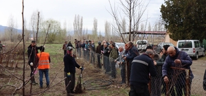 Meyve fidanı satışı 30 Mart’ta yapılacak