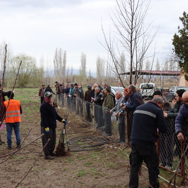Meyve fidanı satışı 30 Mart'ta yapılacak