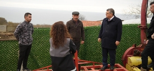 Sinop'ta hayvancılıkta kalite artıyor