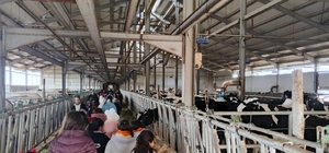 Çocuklar, tarımsal üretimi yerinde inceledi