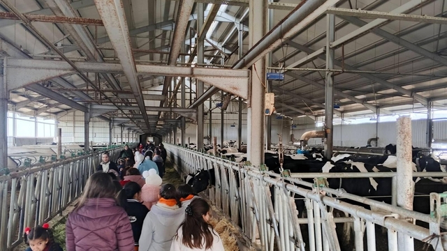 Çocuklar, tarımsal üretimi yerinde inceledi