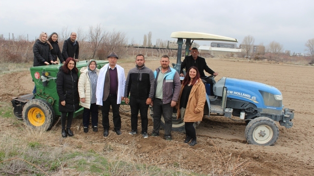 Niğde'de kadın kooperatifleriyle çörek otu ekimi tamamlandı