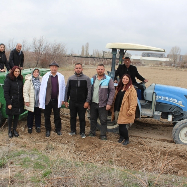 Niğde'de kadın kooperatifleriyle çörek otu ekimi tamamlandı