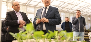 Başkan Kurnaz: "Ata tohumlarımızı korumak bir zorunluluk"