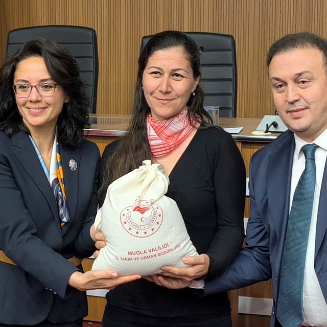 Muğla'da kadın çiftçilere karabuğday desteği 35 dönüm arazide üretim başlıy...