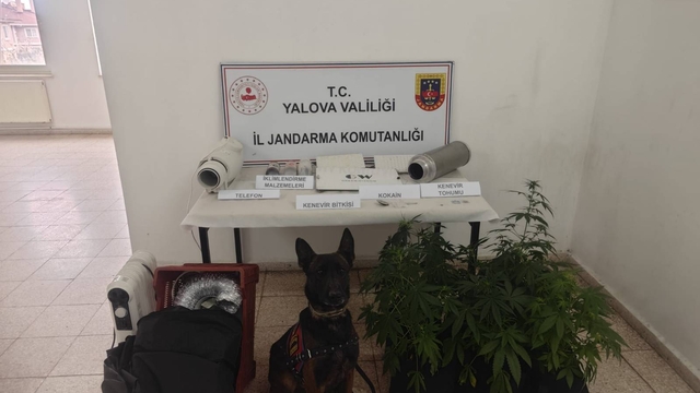 Yalova'da uyuşturucu operasyonunda bir zanlı yakalandı