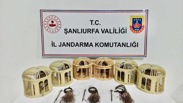Şanlıurfa'da kaçak keklik avcıları suçüstü yakalandı