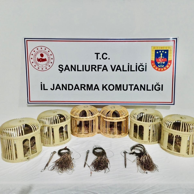 Şanlıurfa'da kaçak keklik avcıları suçüstü yakalandı