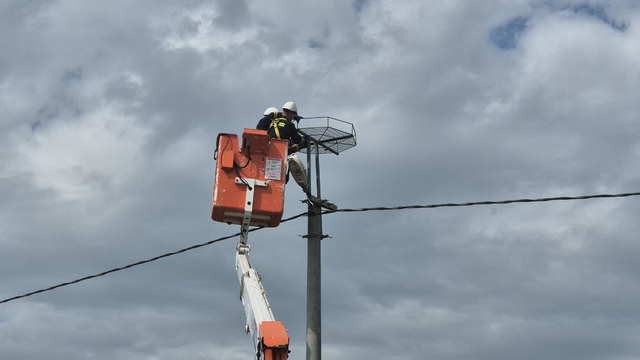 Ölüm hattıydı, yuvalara dönüştü: Bini aştı