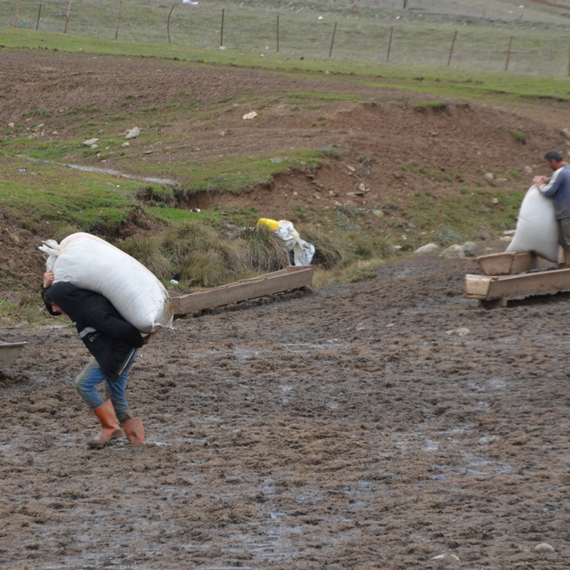 Muş'ta besicilerin kış mesaisi sürüyor