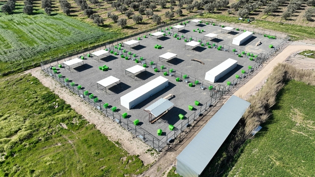 Edremit'te can dostlar için doğal yaşam alanı açılıyor
3 Nisan'da sokak hayvanlarına doğal yaşam alanı açılıyor