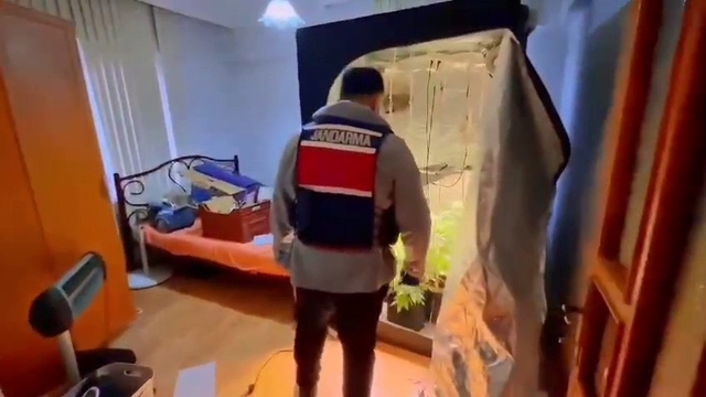 Yalova'da evinde uyuşturucu yetiştiren şüpheli yakalandı