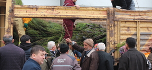 Bafra'da "Dünya Ormancılık Günü" etkinliğinde 23 bin 900 fidan dağıtıldı