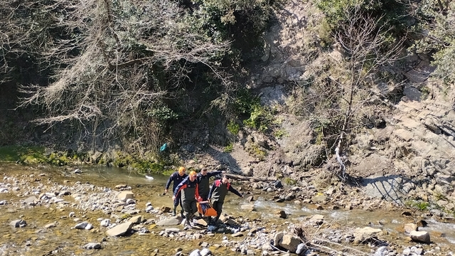 Zonguldak'ta defne yaprağı topladığı sırada yüksekten düşen kadın yaralandı