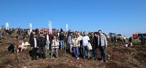 İyilik Kulübü, Yeşil Vatan için sahada YEDAŞ, Yüzlerce fidanı toprakla buluşturdu