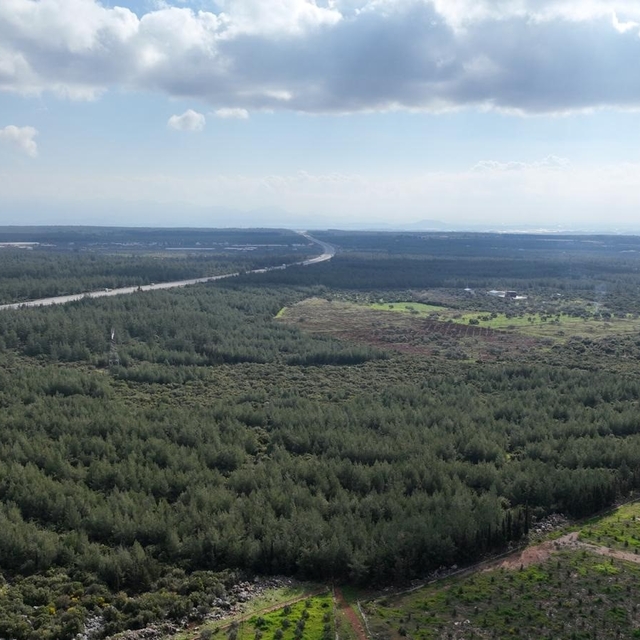 "81 İlde 81 Orman" projesi ilkbahar dikimleriyle devam ediyor