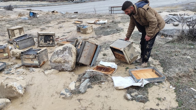 Hakkari'de selde 150 kovan zarar gördü