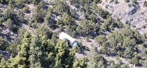 Kemaliye’de freni patlayan kamyon uçuruma yuvarlandı