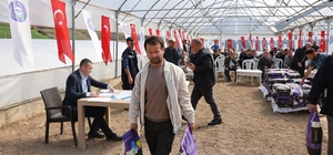 Vezirköprü'de çiftçilere yonca tohumu desteği