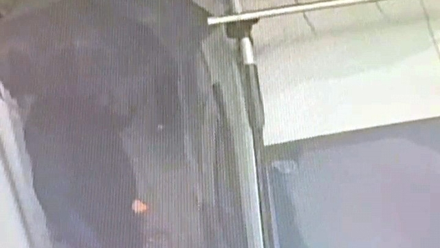 Araç faresi yakayı ele verdi