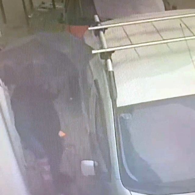 Araç faresi yakayı ele verdi