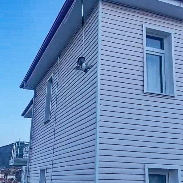 Çorum'da ipe takılan güvercini itfaiye kurtardı