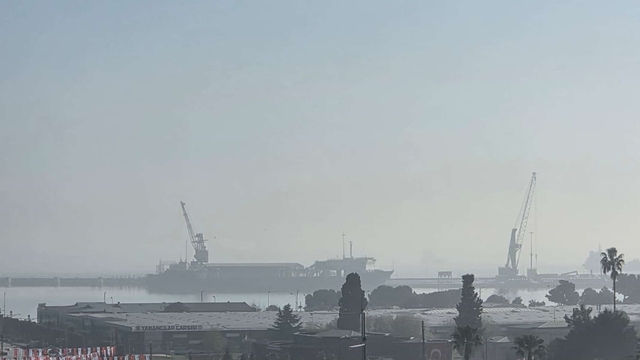 Samsun'da pus ve sis