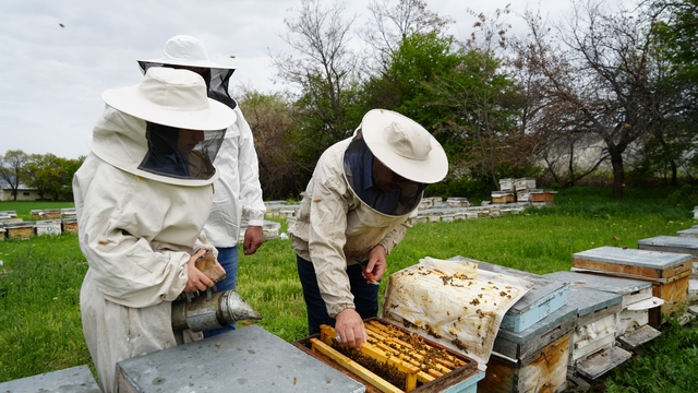 Kış uykusundan uyanan arılar Erzincan'da yeni sezona hazırlanıyor