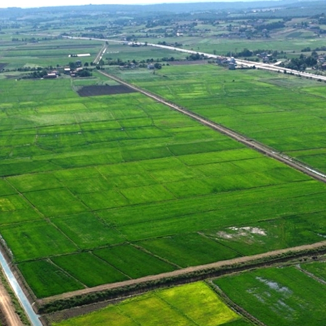 Samsun'da bozulan tarım arazileri cezasız kalmadı: 48 işlem uygulandı