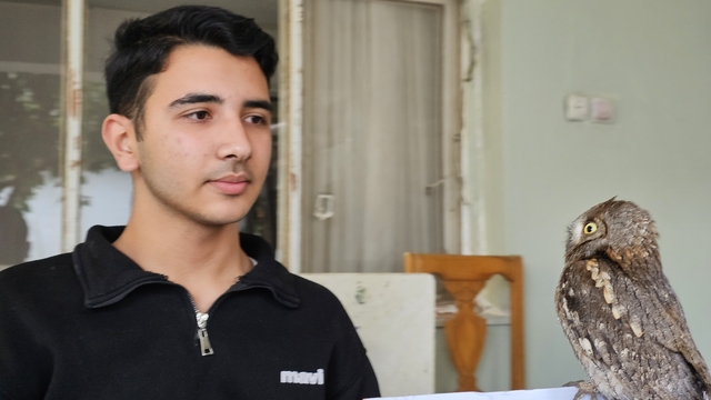 14 yaşındaki Berk, yaralı bulduğu İshak kuşunun yaşama tutunmasını sağladı