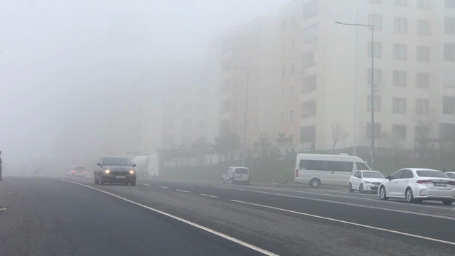 Şanlıurfa'da yoğun sis etkili oldu