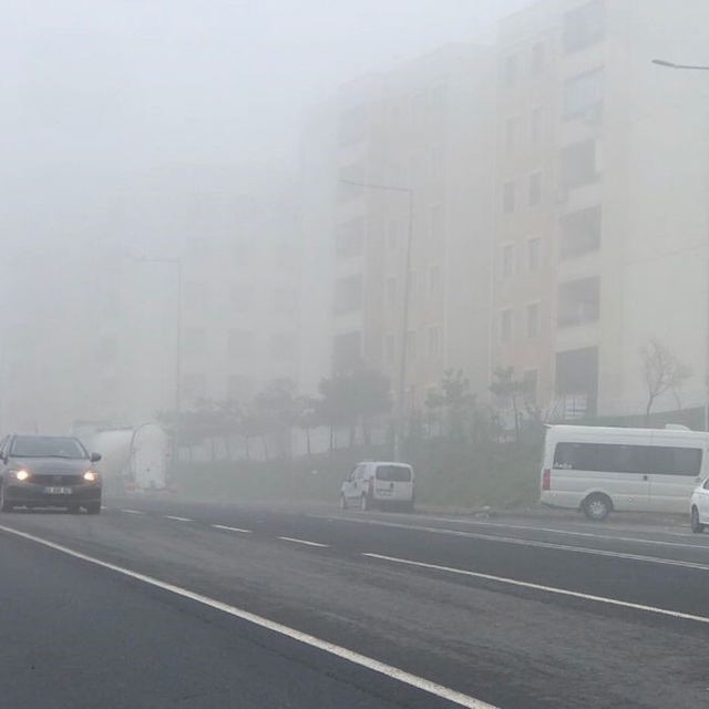 Şanlıurfa'da yoğun sis etkili oldu