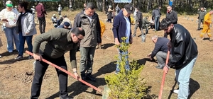 İhsangazi'de "Dünya Ormancılık Günü" etkinliği düzenlendi