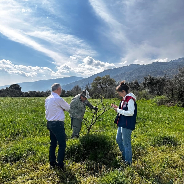 Bozdoğan İlçe Tarım ve Orman Müdürlüğü ekipleri ilek bahçesinde bakım yaptı