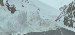 Van-Hakkari kara yoluna çığ düştü, araçlar mahsur kaldı