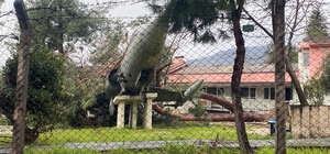 Üzerine ağaç düşen uçak zarar gördü