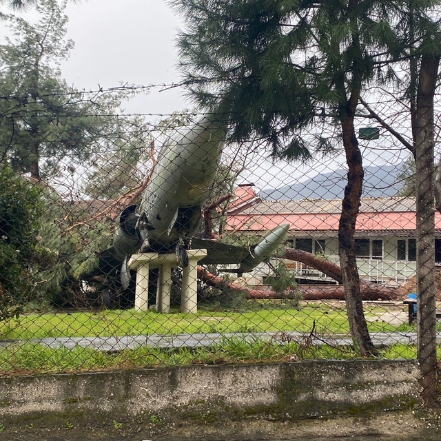 Üzerine ağaç düşen uçak zarar gördü